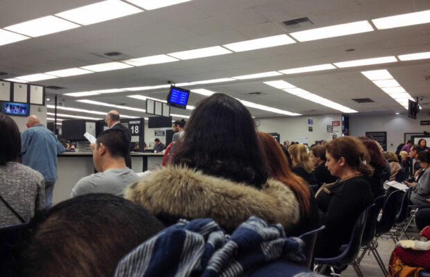Should This Asheville Woman’s License Plate Be Revoked? Should This Asheville Woman’s License Plate Be Revoked?