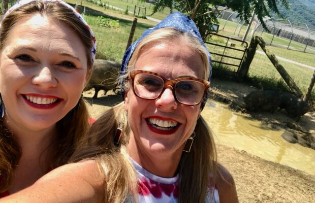 Ever thought about a pet pig?