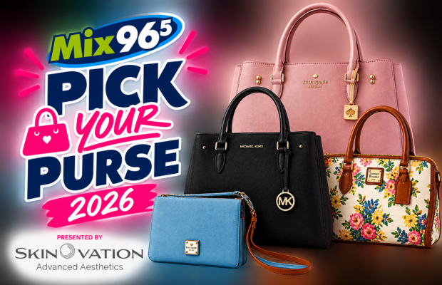 Pick Your Purse Pick Your Purse